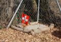 img-0036-2.jpg