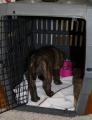 img-0147-2.jpg